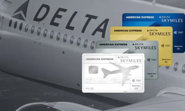 A Complete Guide to the Amex Delta SkyMiles Credit Cards 2024 - Luggage