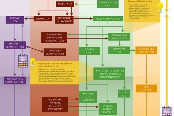 Activation Process | Scimega
