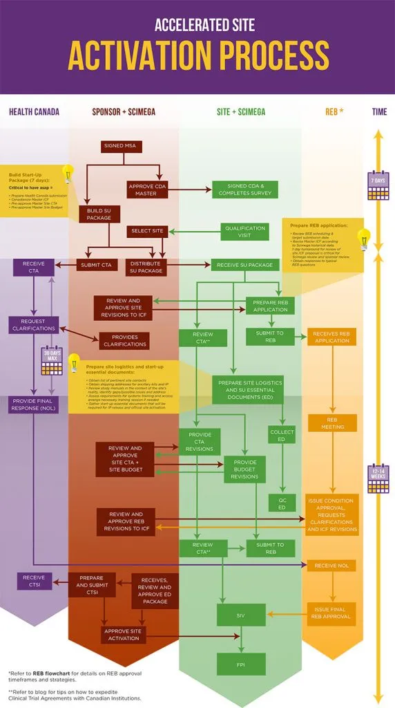 Activation Process | Scimega
