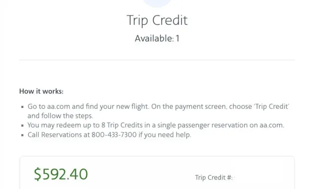 American Airlines Travel Credit at Abbey Takasuka blog