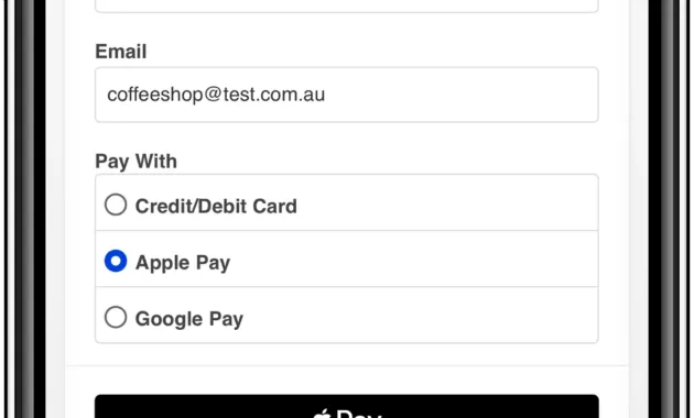 Apple Pay Guide | Online payment guides | Pin Payments