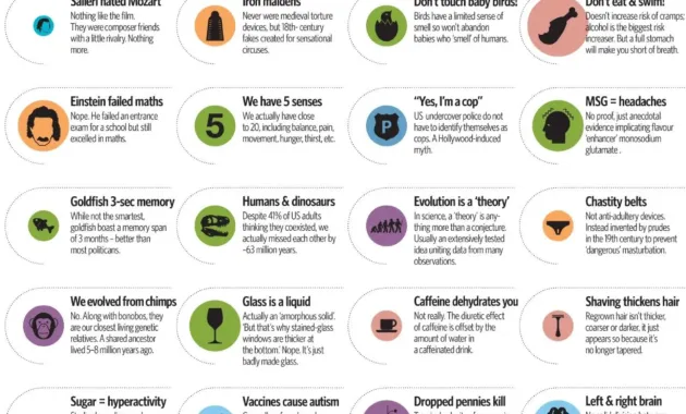 Common misconceptions explained – Artofit