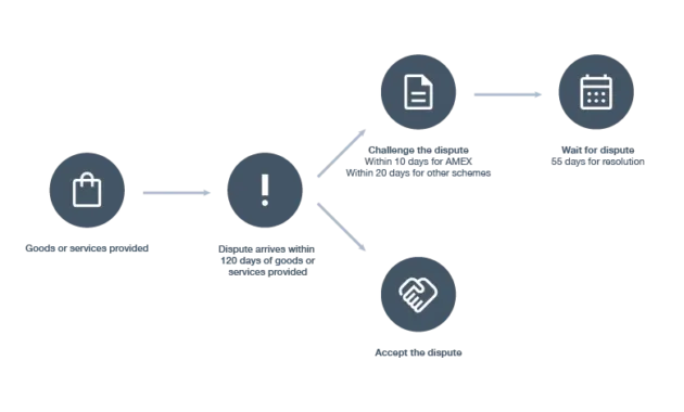 Disputes | Online payment guides | Pin Payments