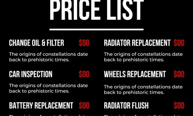Personalize this Professional Motor Mechanic Price List template in minutes
