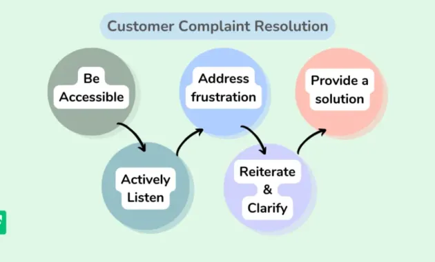 Resolving Customer Complaints: Guide with Examples - Fluent Support