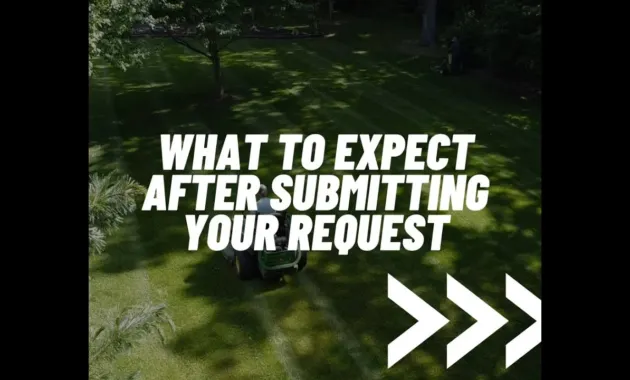 What to Expect After Submitting Your Request - YouTube